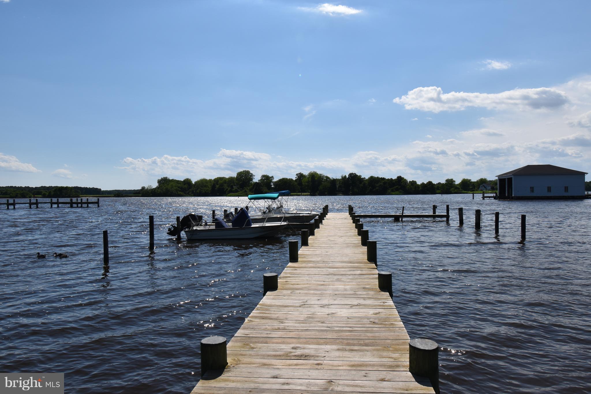 7 Hatsawap Road Cambridge, MD 21613 - Photo 8 of 36 Community