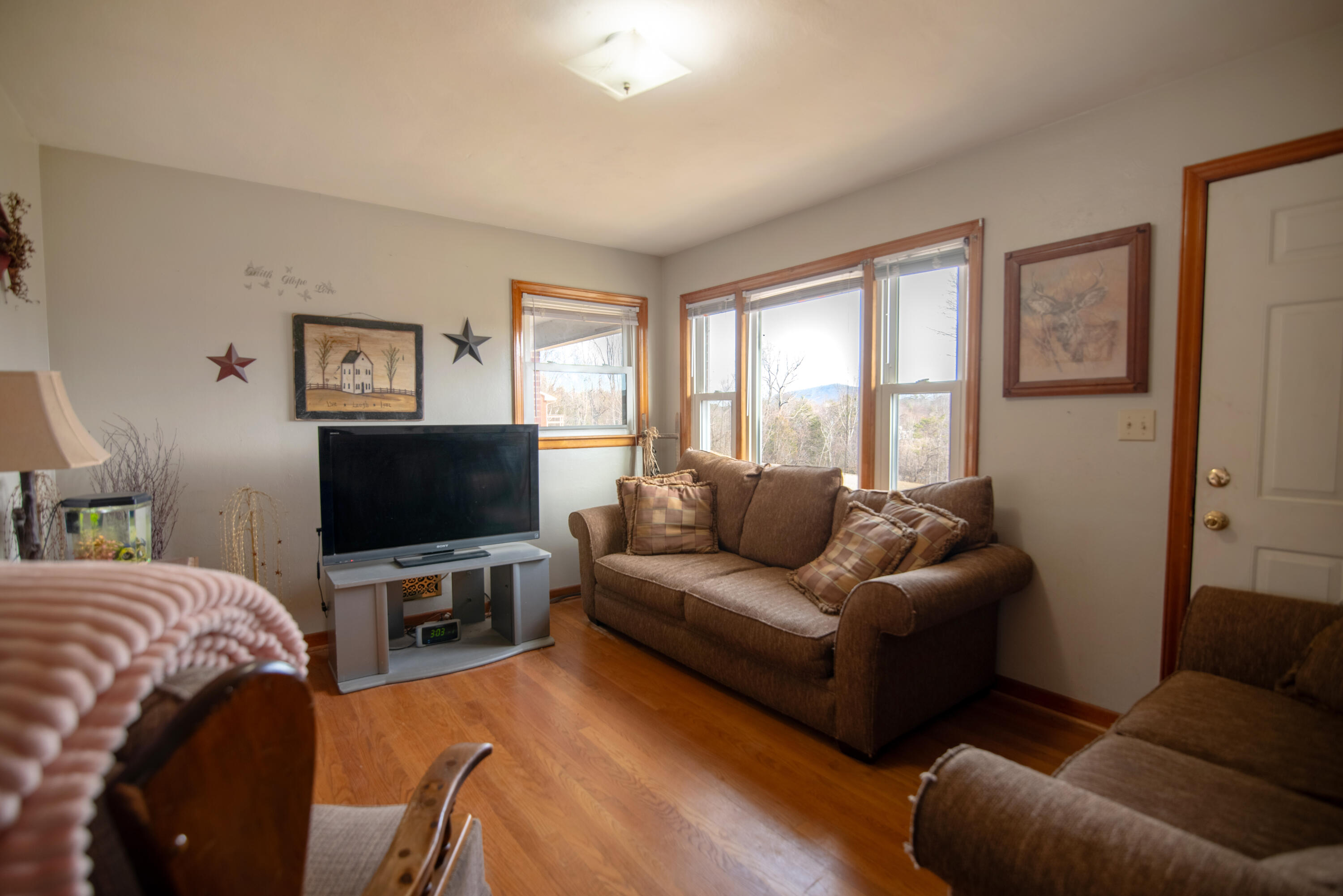 1065 Mountain Valley Road Vinton, VA 24179 - Photo 5 of 20 a living room with furniture and a flat screen tv