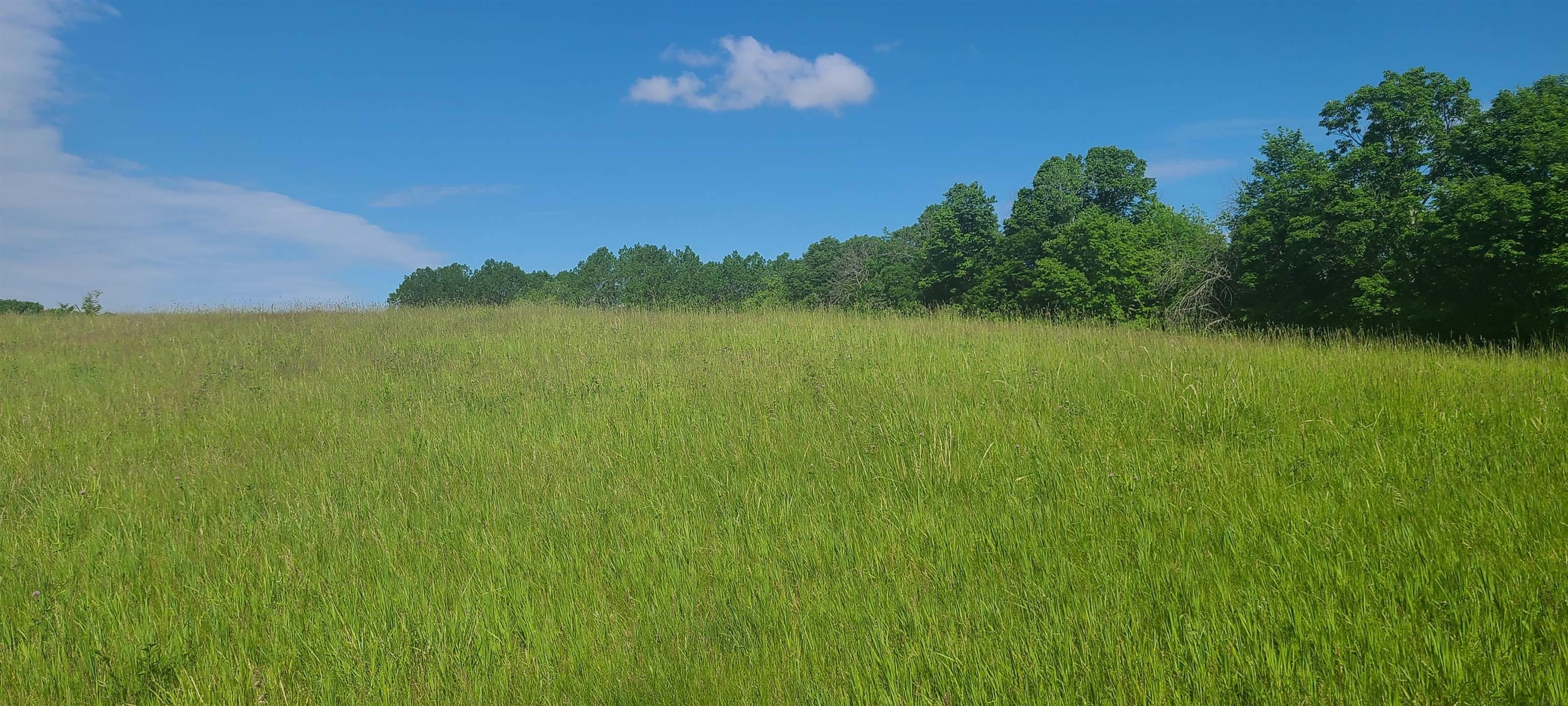 Hidden Ridge Lane Guttenberg, IA 52052 - Photo 11 of 13 Gallery Image 11