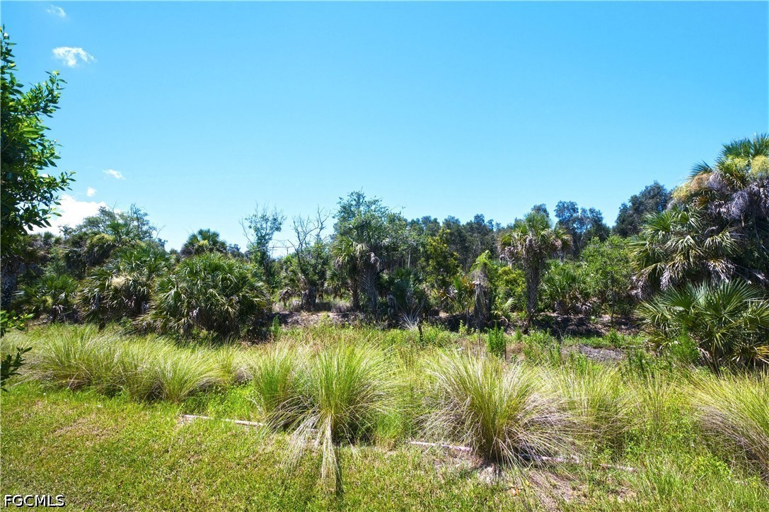 998 Enbrook Loop Naples, FL 34114 - Photo 32 of 33