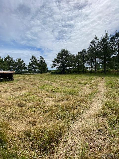 546 Up River Road Belvidere, NC 27919 - Photo 13 of 42 Gallery Image 13