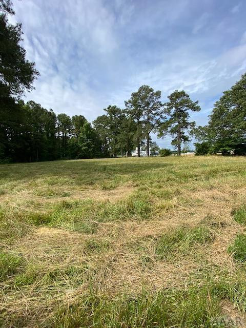 546 Up River Road Belvidere, NC 27919 - Photo 10 of 42 Gallery Image 10