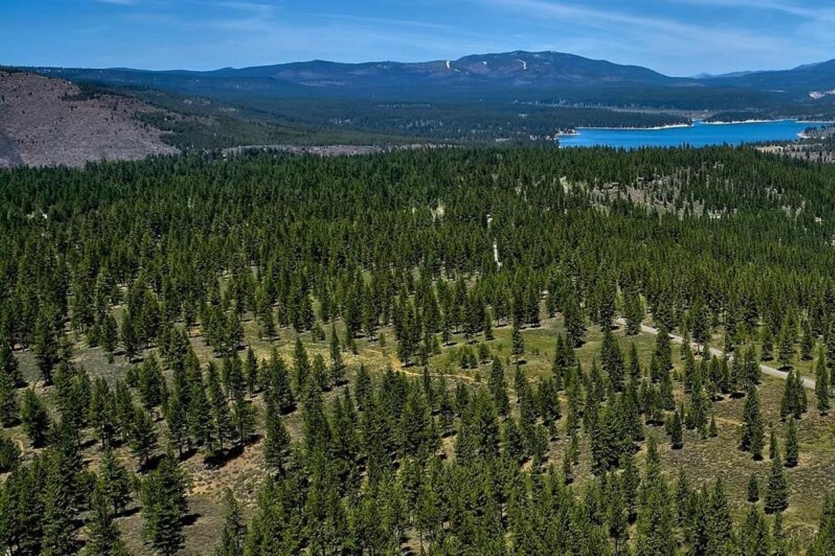 1 Martis Peak Road Truckee, CA 96161 - Photo 3 of 5 a view of an lush green mountain