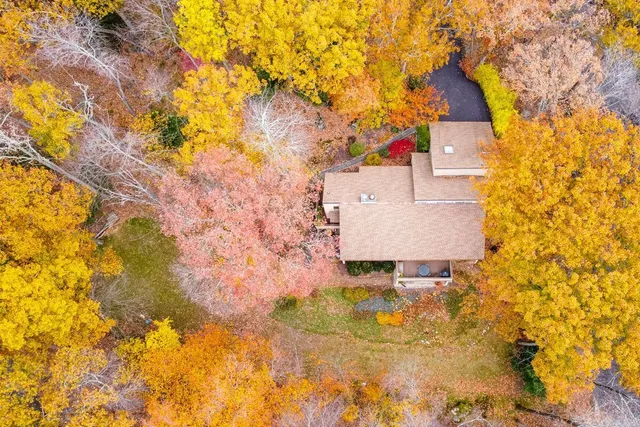 a view of a yard with trees