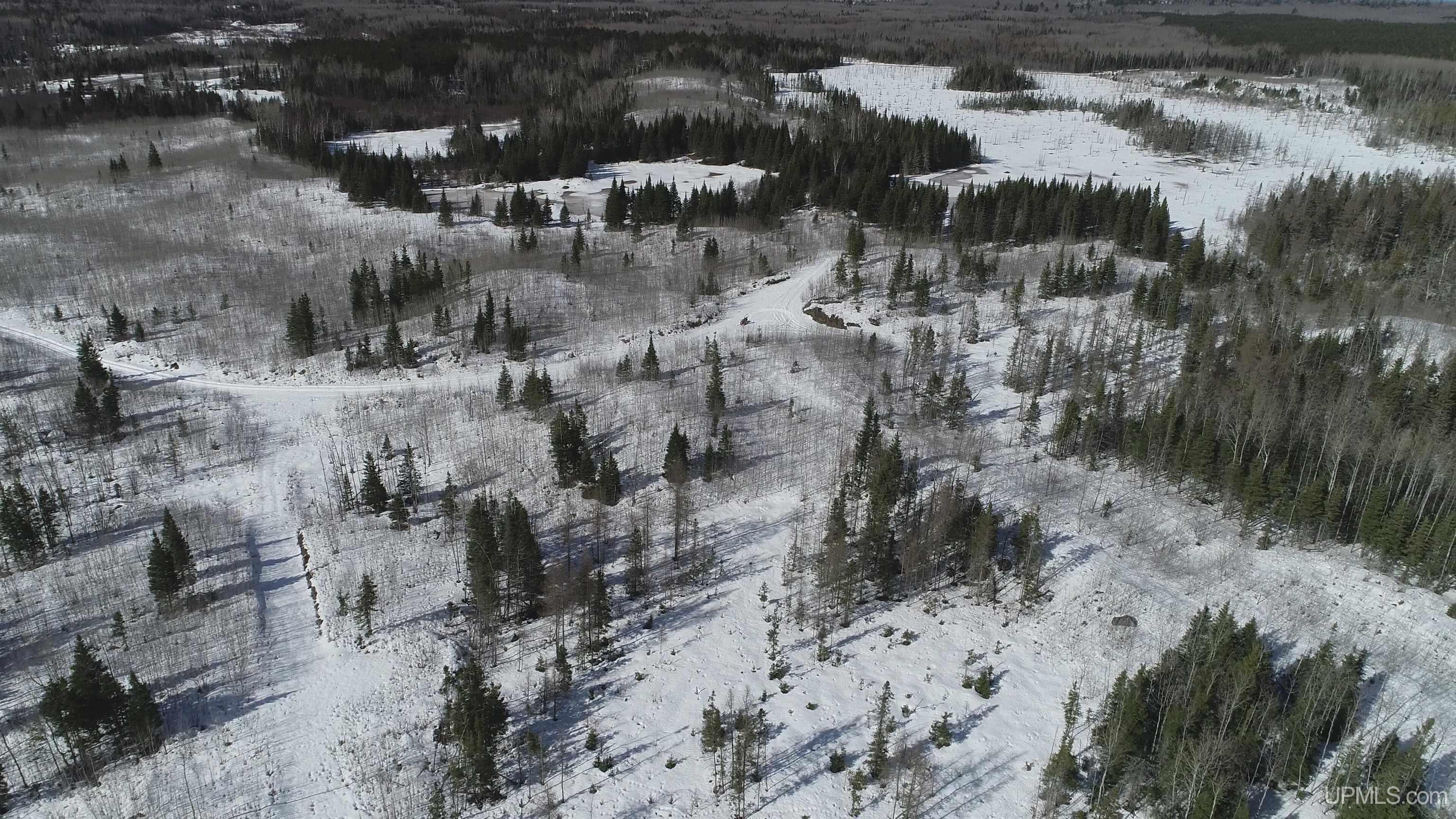 80-acres 80-acres 18th Road Republic, MI 49879 - Photo 21 of 25