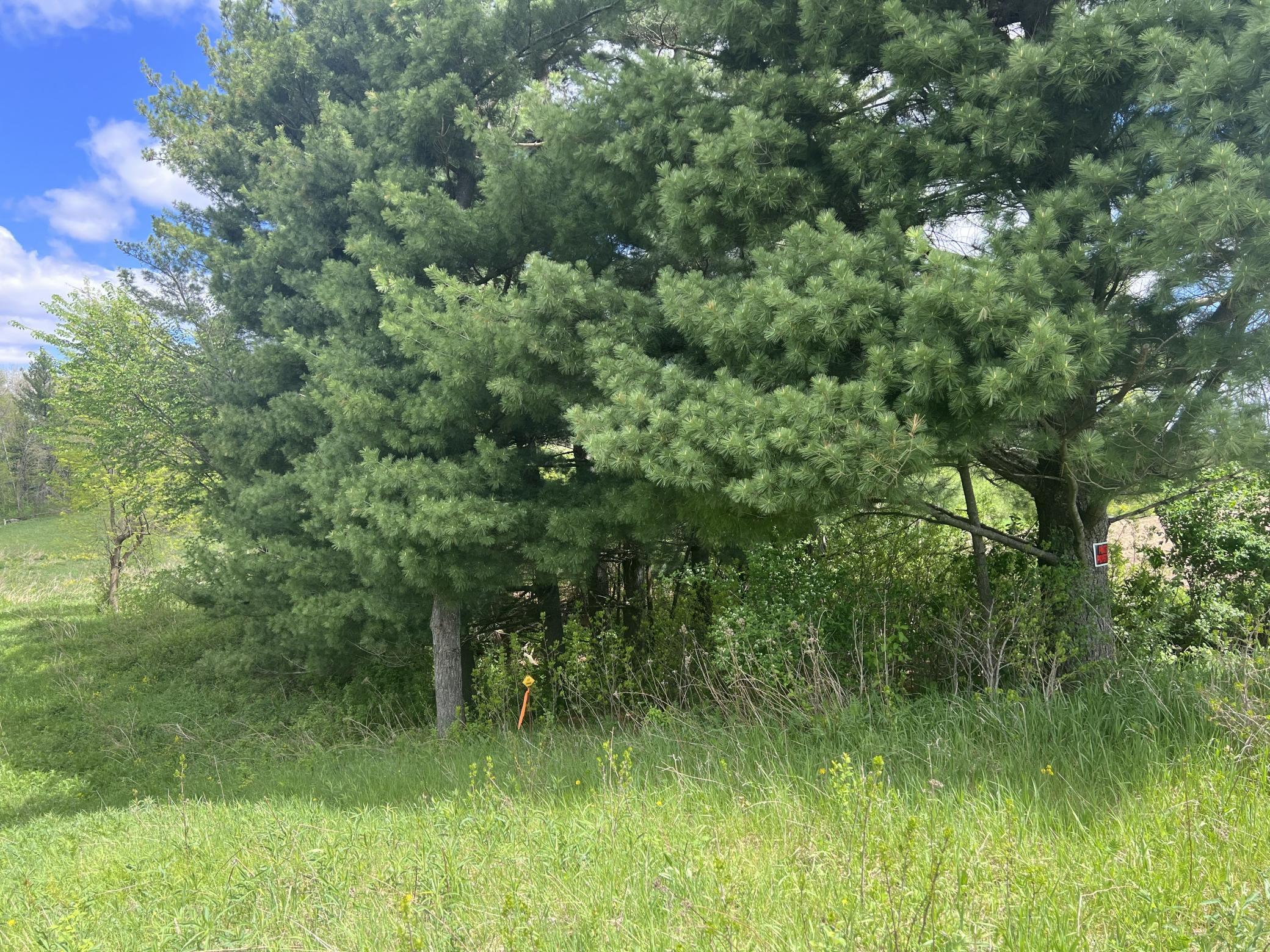 Tbd Tbd County Line Avenue Clear Lake, WI 54005 - Photo 2 of 11