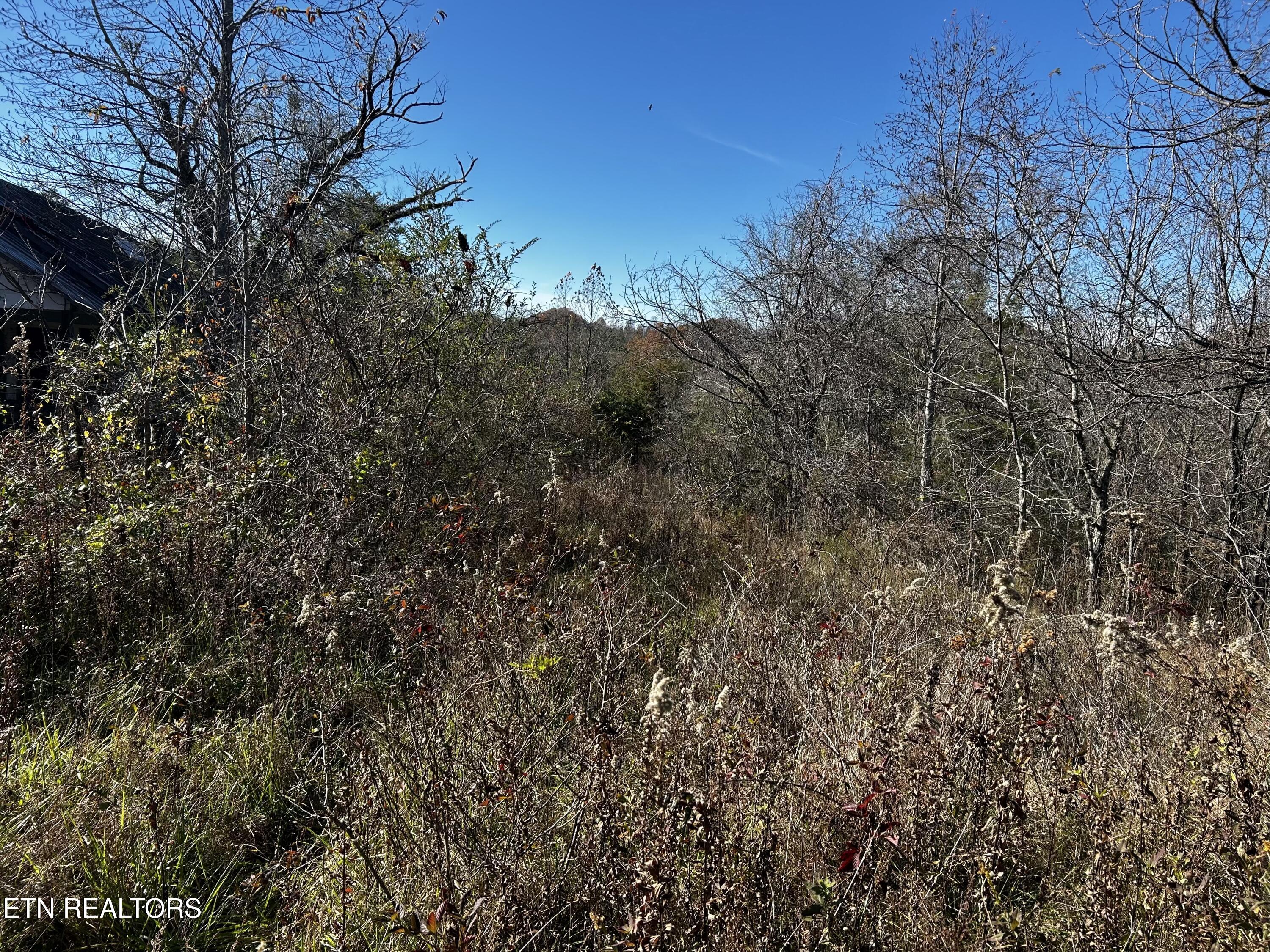 Shaddon Road Tellico Plains, TN 37385 - Photo 2 of 5 IMG_7643