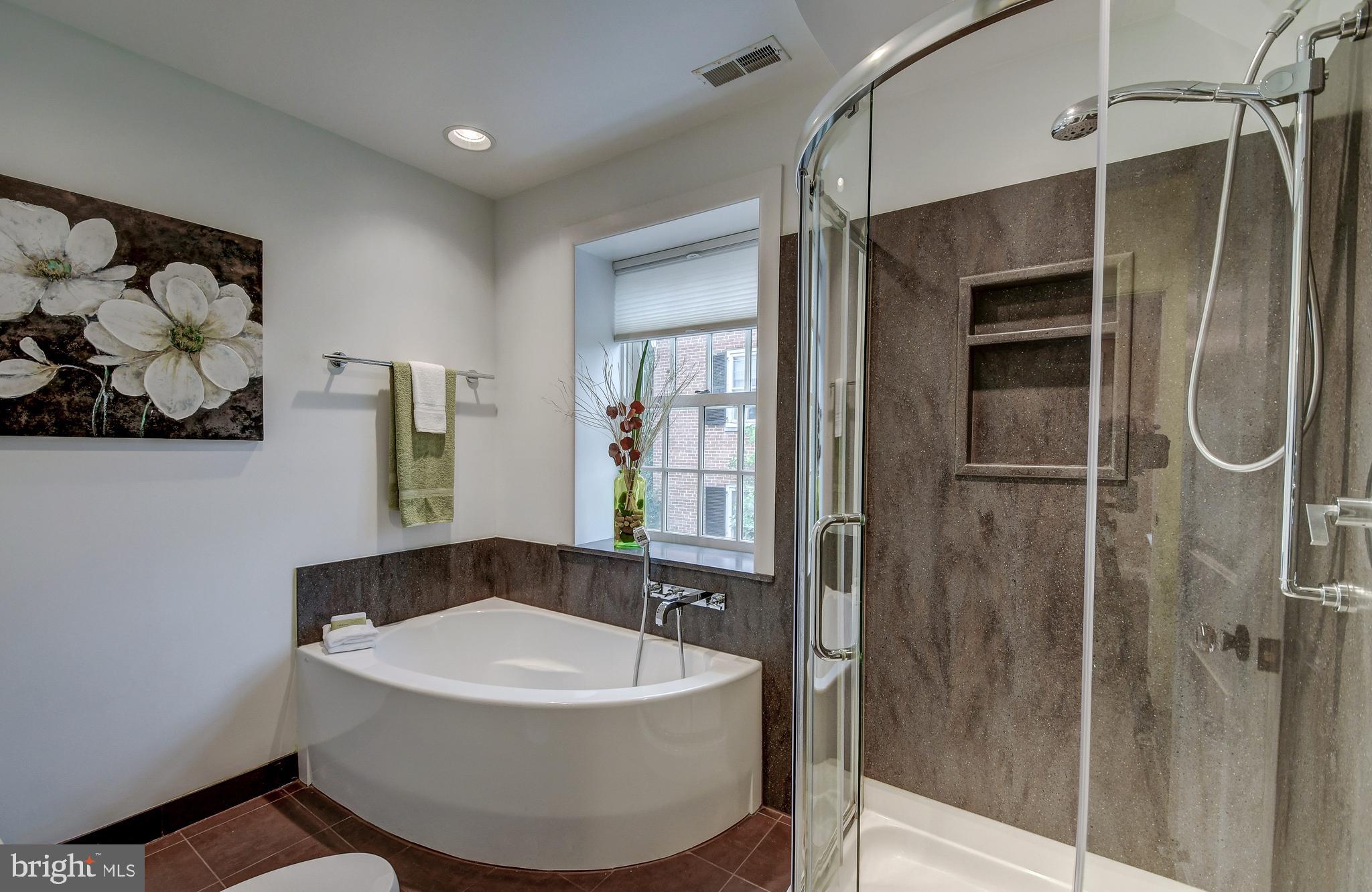 216 St Dunstans Road Baltimore, MD 21212 - Photo 38 of 47 Soaking tub & glass shower