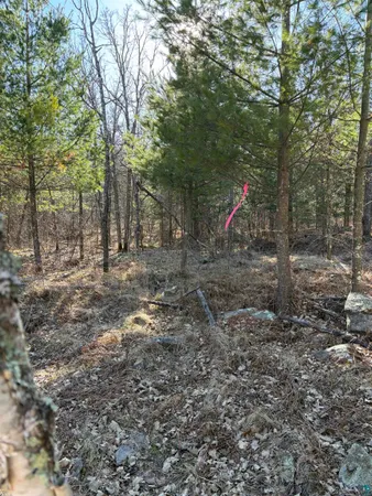 $30,000 | 5-xx 7th Street, Moose Lake, MN 55767