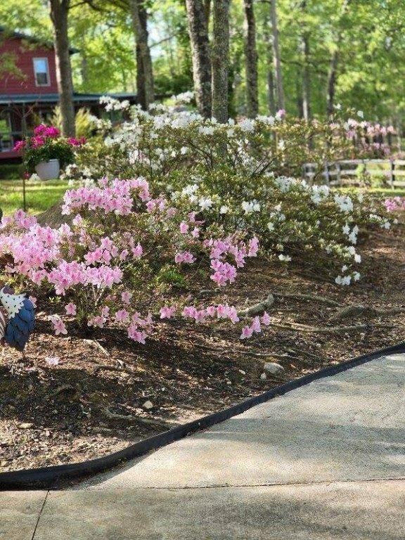 5419 Tyree Road Winston, GA 30187 - Photo 50 of 77