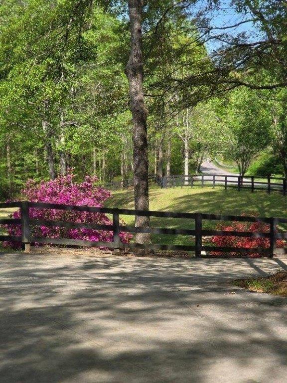 5419 Tyree Road Winston, GA 30187 - Photo 57 of 77 a view of park with large trees