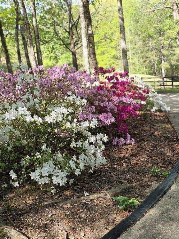 5419 Tyree Road Winston, GA 30187 - Photo 58 of 77