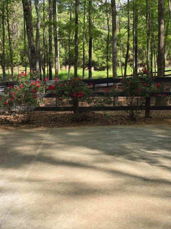 5419 Tyree Road Winston, GA 30187 - Photo 63 of 77 a view of backyard with green space