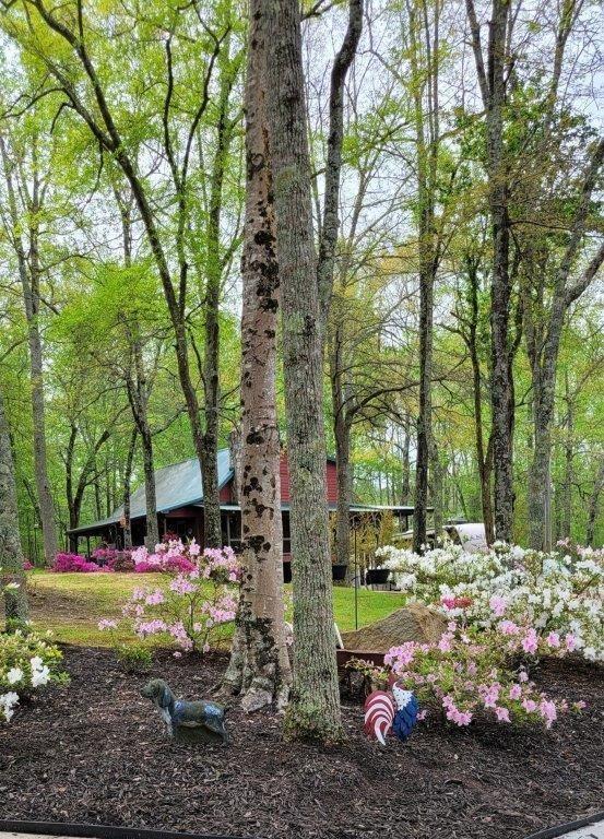 5419 Tyree Road Winston, GA 30187 - Photo 64 of 77