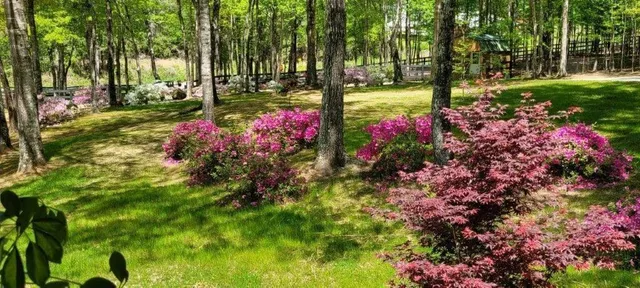 $699,500 | 5419 Tyree Road, Winston, GA 30187