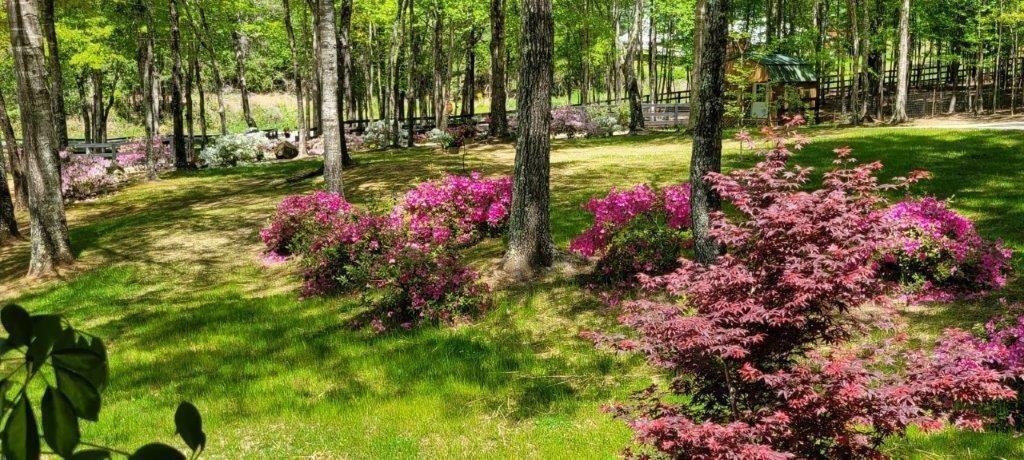 5419 Tyree Road Winston, GA 30187 - Photo 69 of 77 a view of yard with fountain in front of house