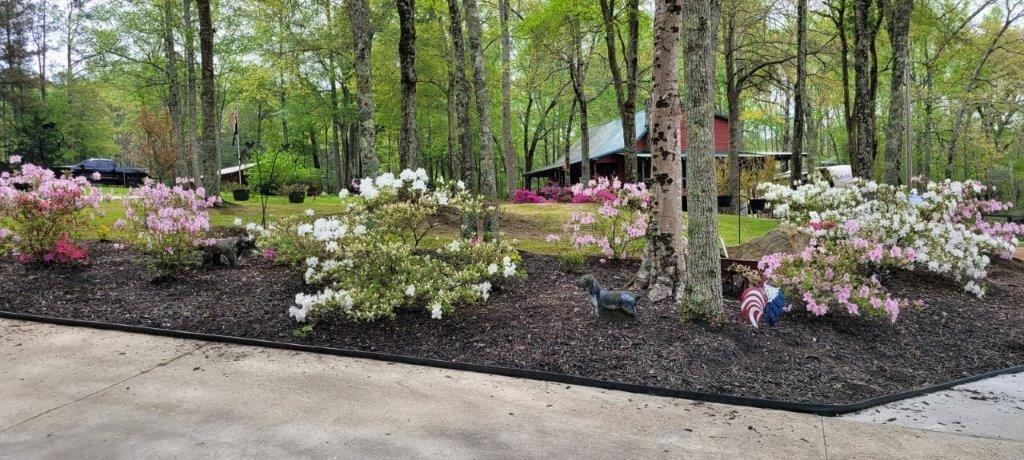 5419 Tyree Road Winston, GA 30187 - Photo 70 of 77