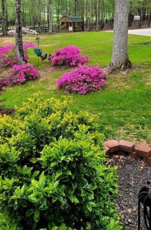 5419 Tyree Road Winston, GA 30187 - Photo 71 of 77