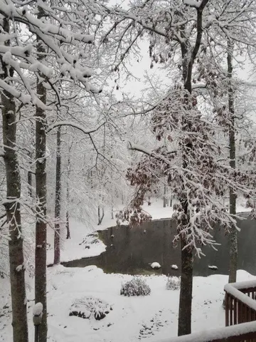 $699,500 | 5419 Tyree Road, Winston, GA 30187