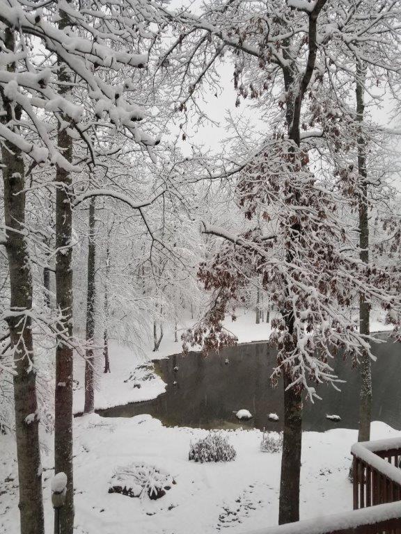 5419 Tyree Road Winston, GA 30187 - Photo 73 of 77