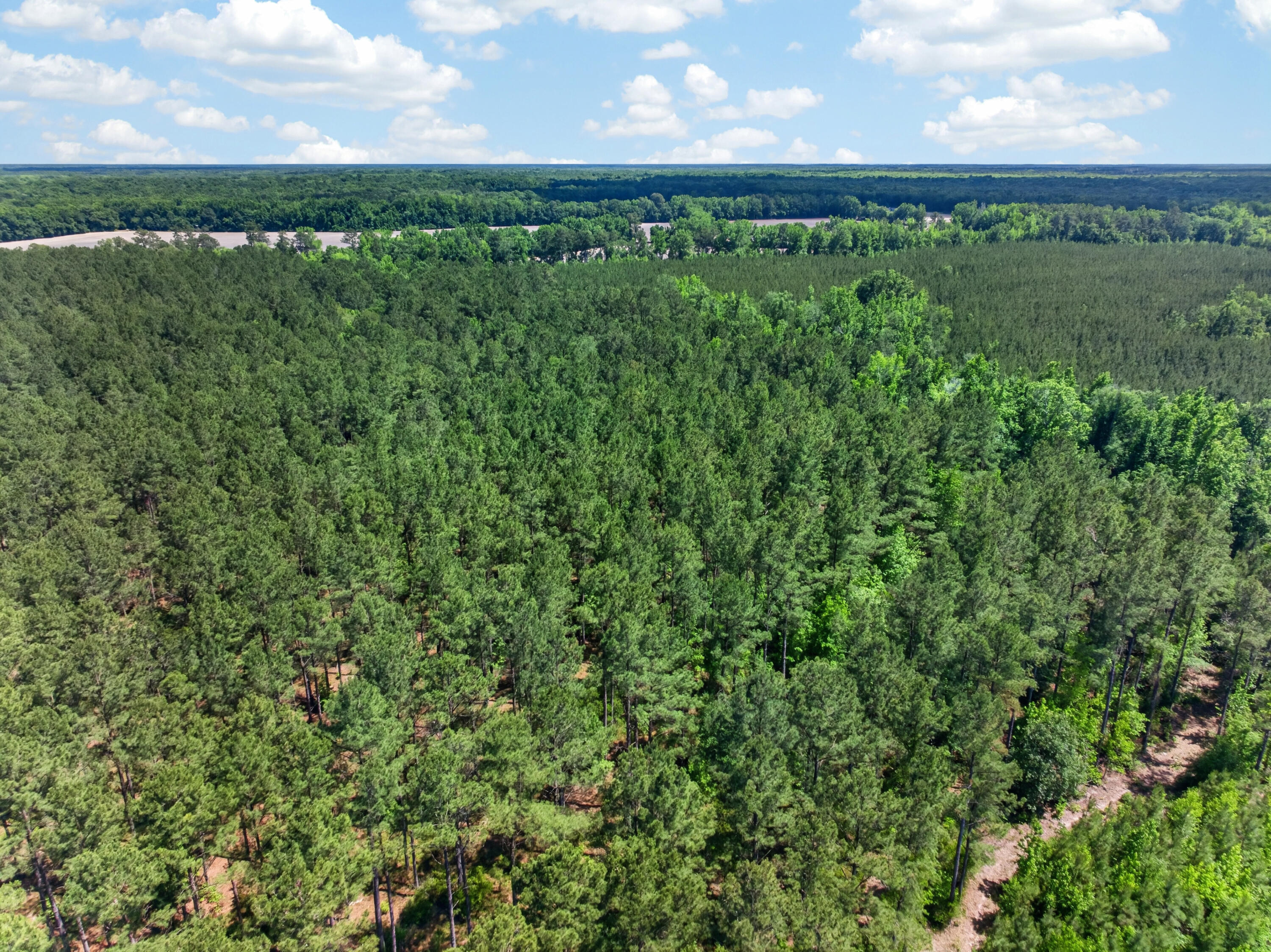 5120 North Brewington Road, Unit 10 Alcolu, SC 29001 - Photo 33 of 40 DJI_20260521140639_0090_D