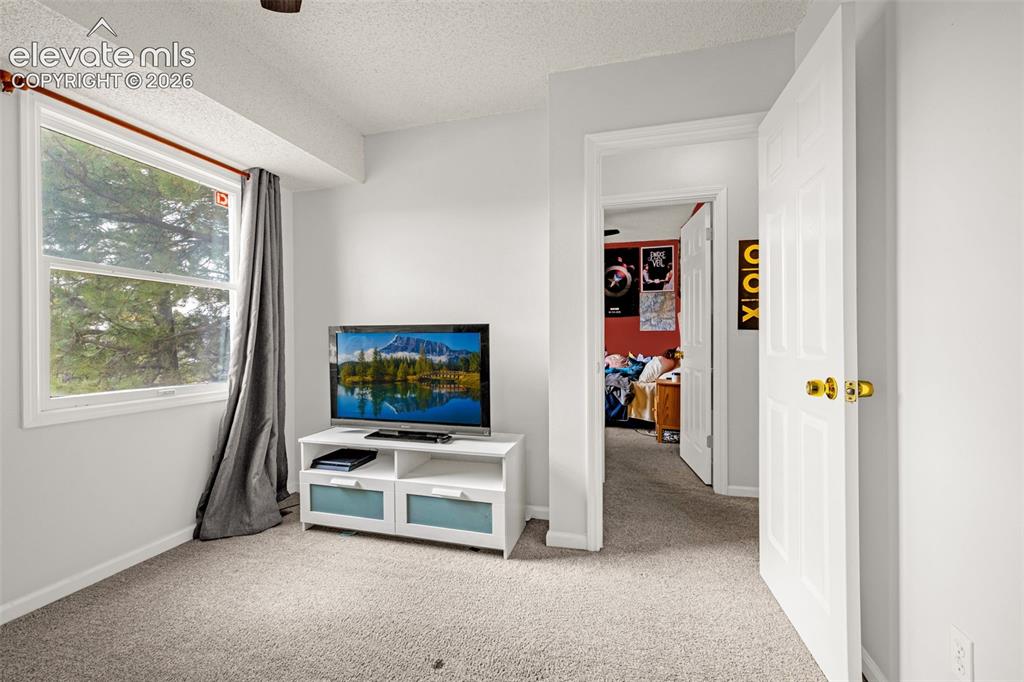 313 Raspberry Lane Monument, CO 80132 - Photo 19 of 26