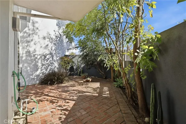 a view of a yard with plants and trees