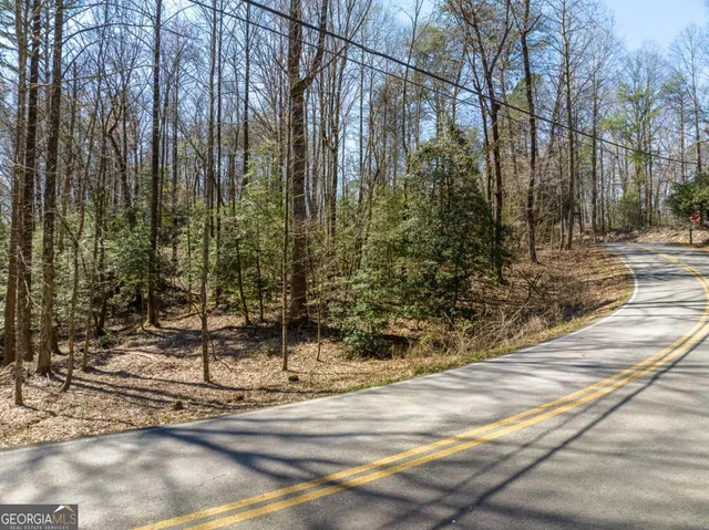 $25,000 | Lot 193 Shenendoa Drive, Ellijay, GA 30540