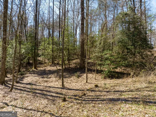 $25,000 | Lot 193 Shenendoa Drive, Ellijay, GA 30540