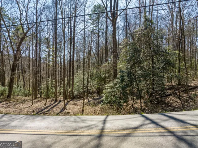 $25,000 | Lot 193 Shenendoa Drive, Ellijay, GA 30540