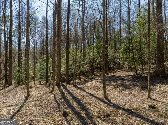 $25,000 | Lot 193 Shenendoa Drive, Ellijay, GA 30540