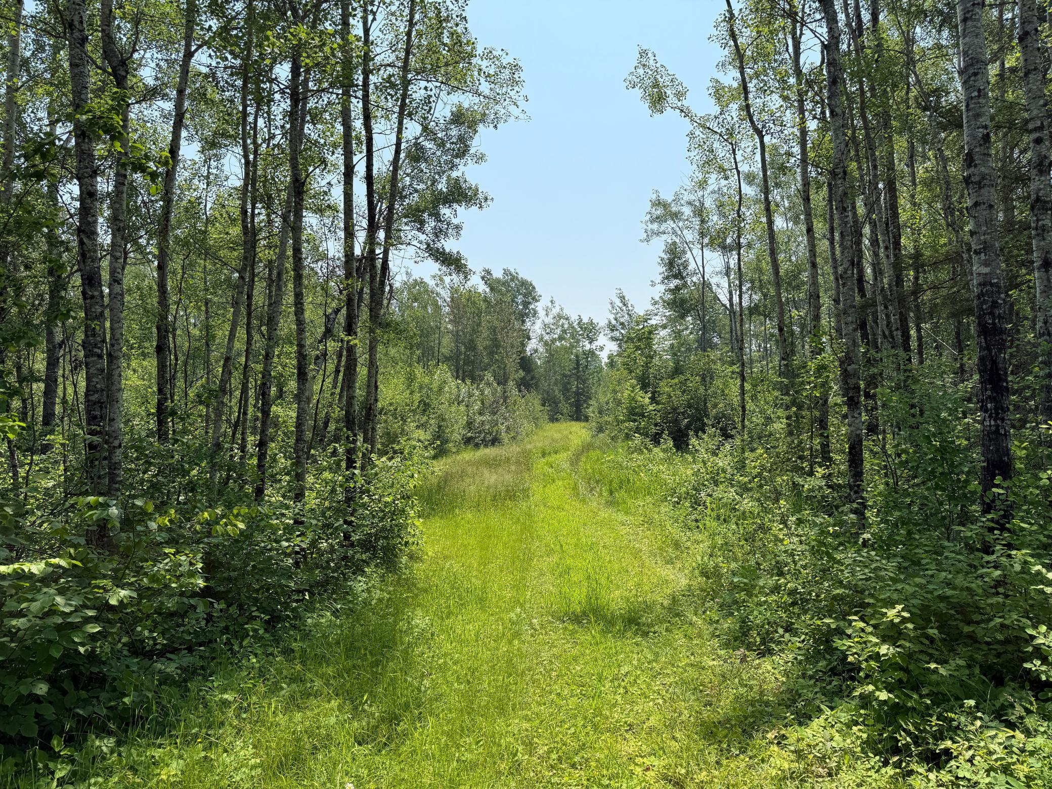 3437 Blueberry Hill Road Two Harbors, MN 55616 - Photo 77 of 105