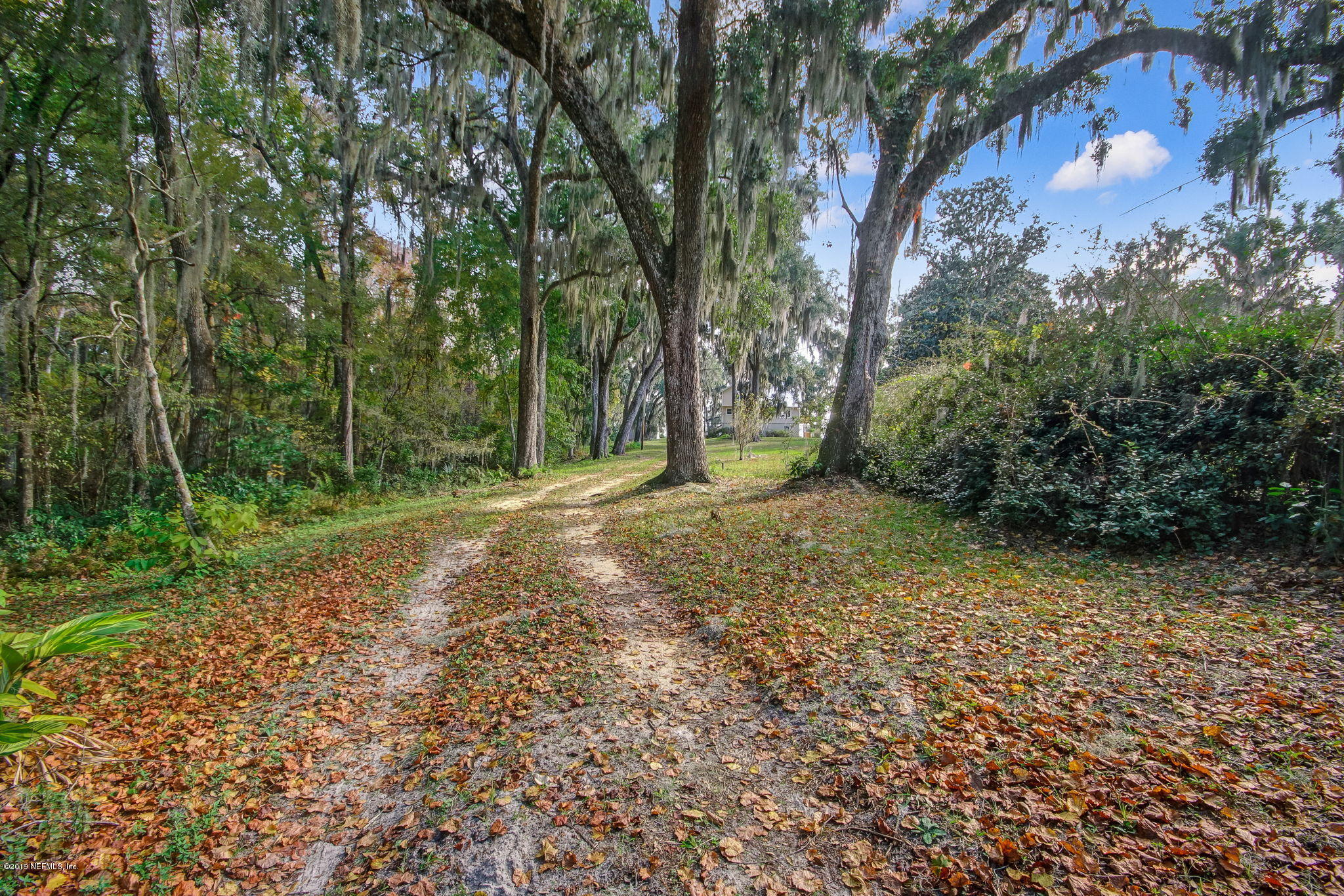539 West River Road Palatka, FL 32177 - Photo 4 of 88 WRiverRd539 - Private Drive 1