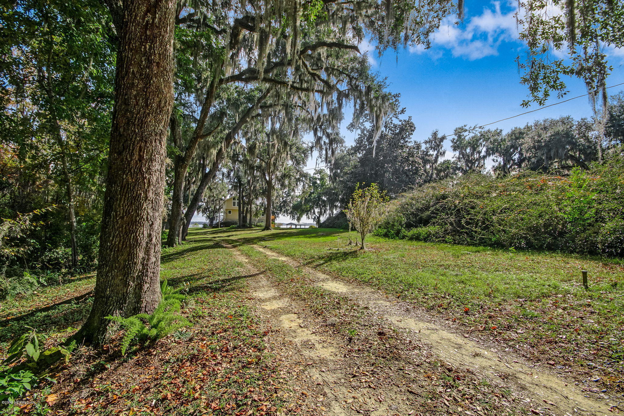 539 West River Road Palatka, FL 32177 - Photo 5 of 88 WRiverRd539 - Private Drive 2