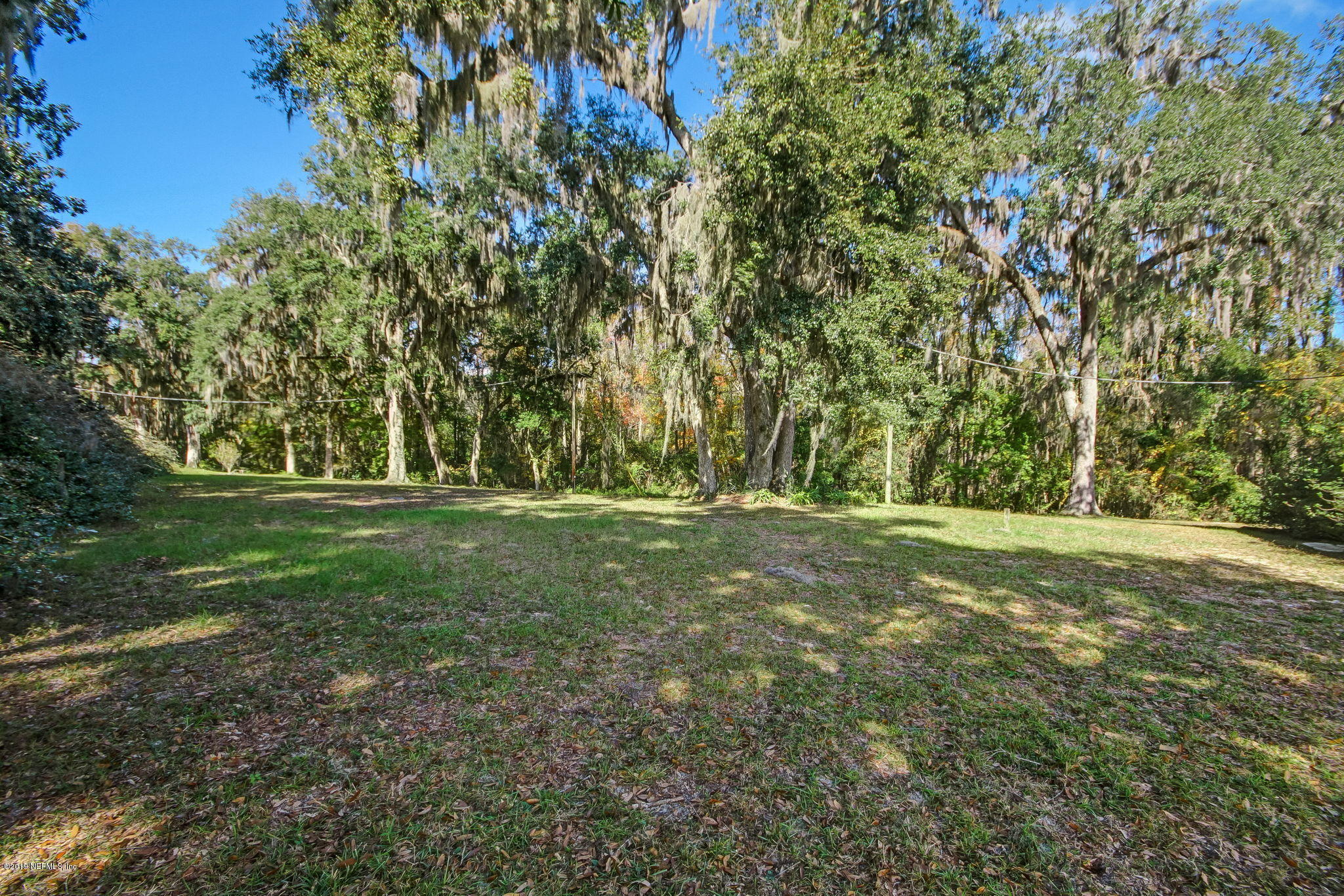 539 West River Road Palatka, FL 32177 - Photo 65 of 88 WRiverRd539 - Back Yard 1