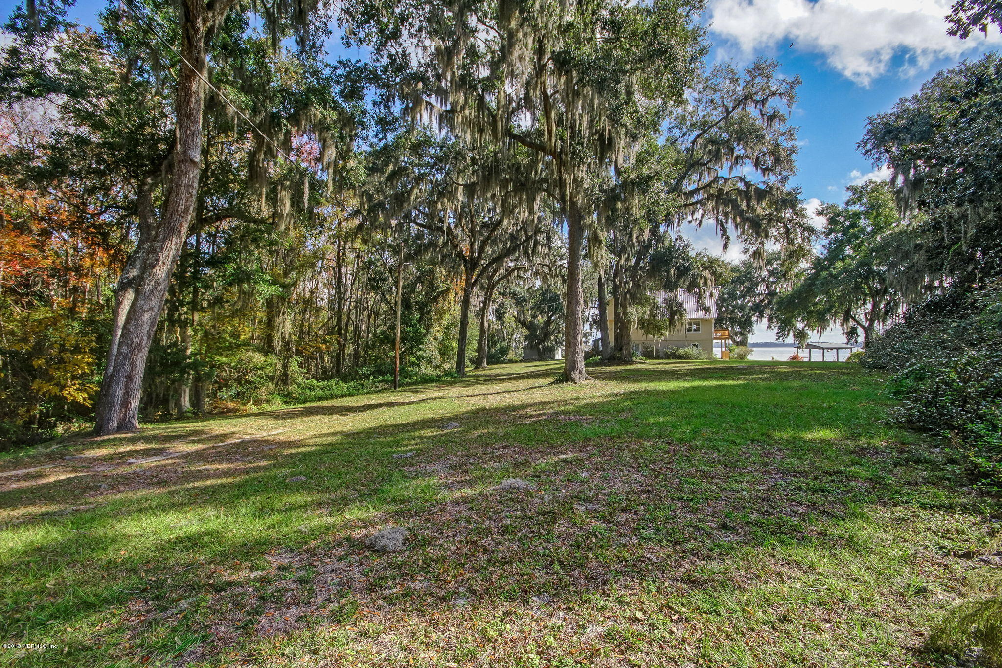 539 West River Road Palatka, FL 32177 - Photo 78 of 88 WRiverRd539 - Front Yard 1