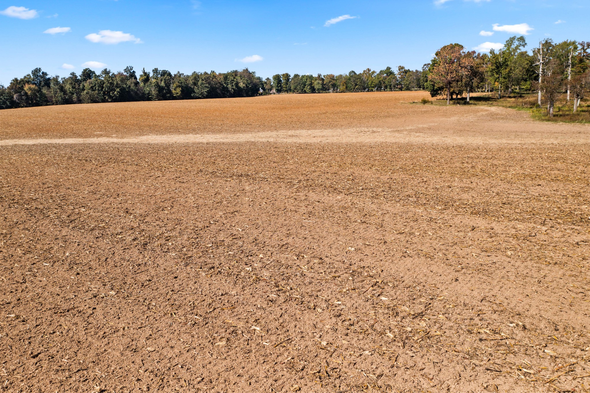 0 Hulsey Road Orlinda, TN 37141 - Photo 11 of 14