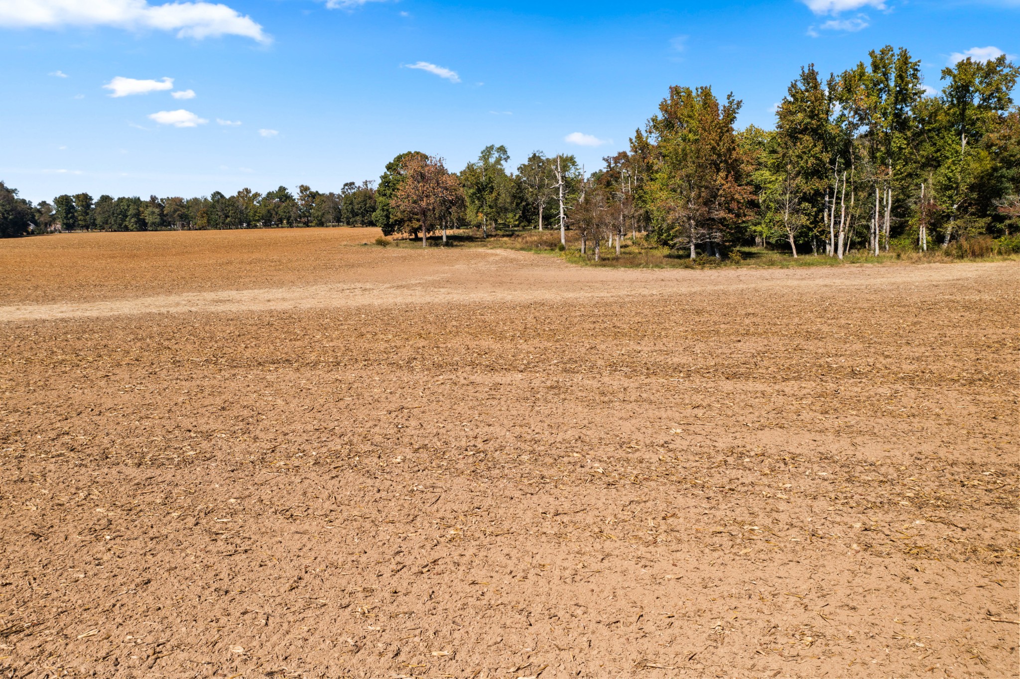 0 Hulsey Road Orlinda, TN 37141 - Photo 12 of 14