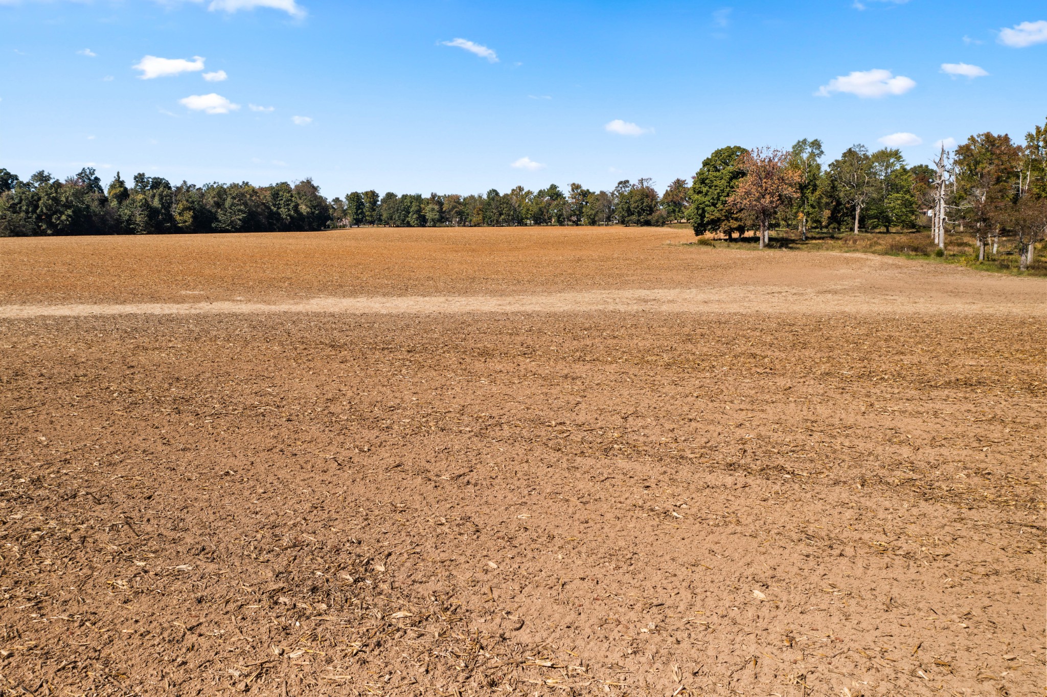 0 Hulsey Road Orlinda, TN 37141 - Photo 13 of 14