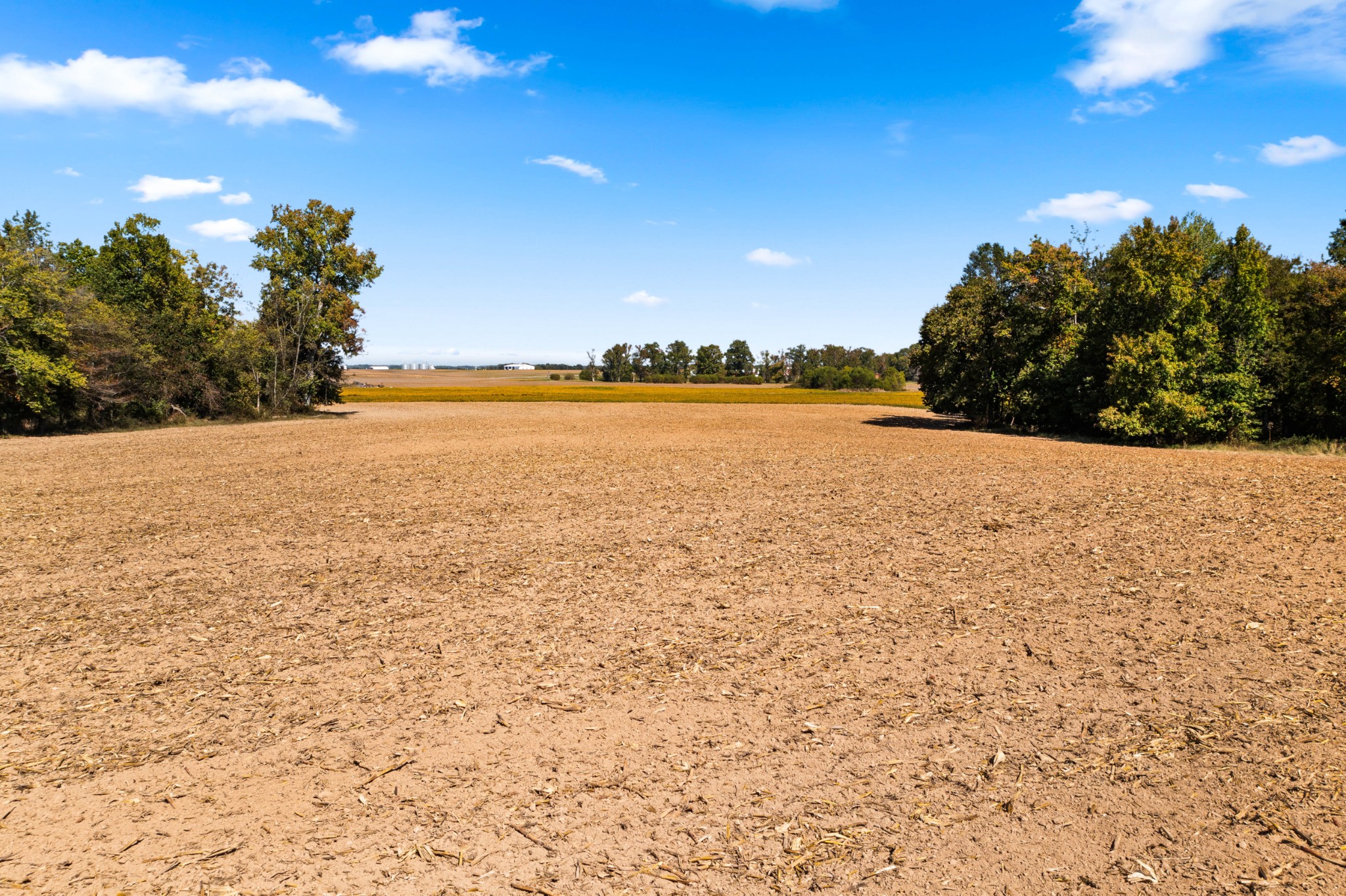 0 Hulsey Road Orlinda, TN 37141 - Photo 4 of 14