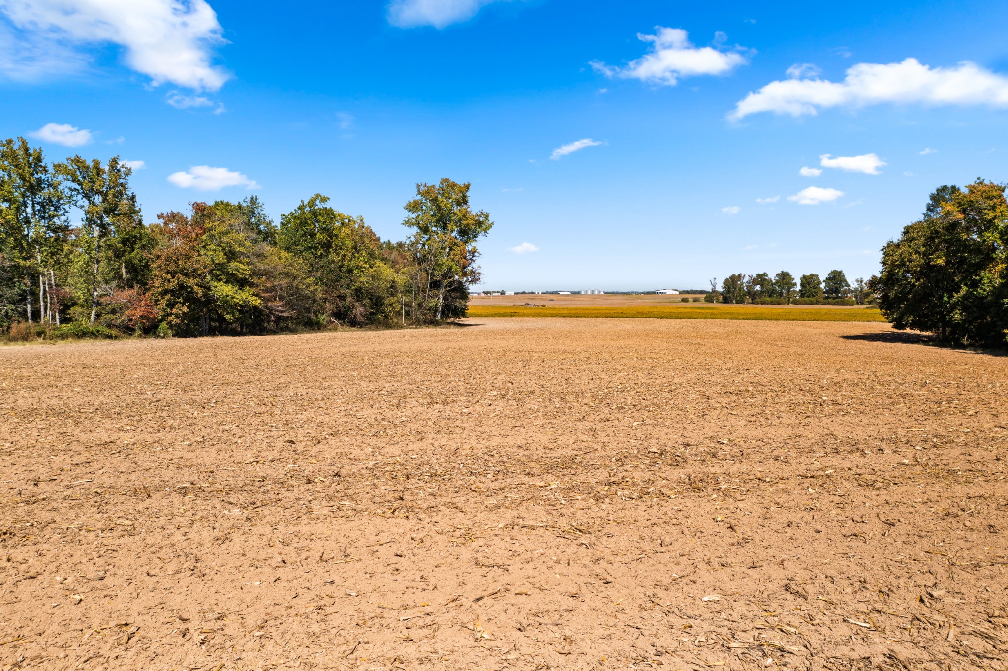 0 Hulsey Road Orlinda, TN 37141 - Photo 5 of 14