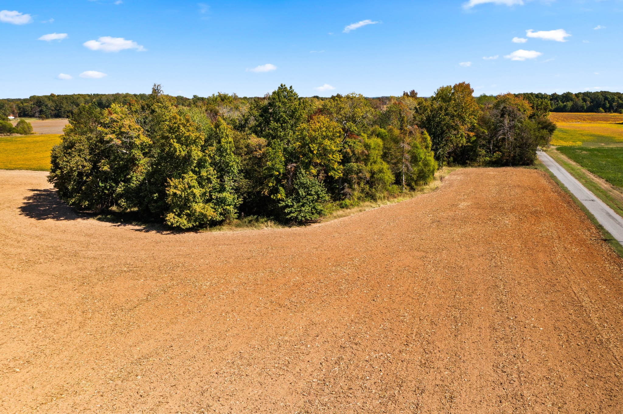 0 Hulsey Road Orlinda, TN 37141 - Photo 6 of 14