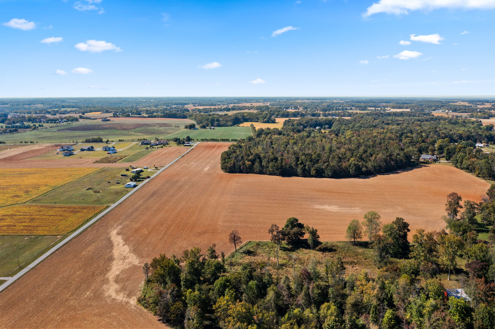 0 Hulsey Road Orlinda, TN 37141 - Photo 8 of 14