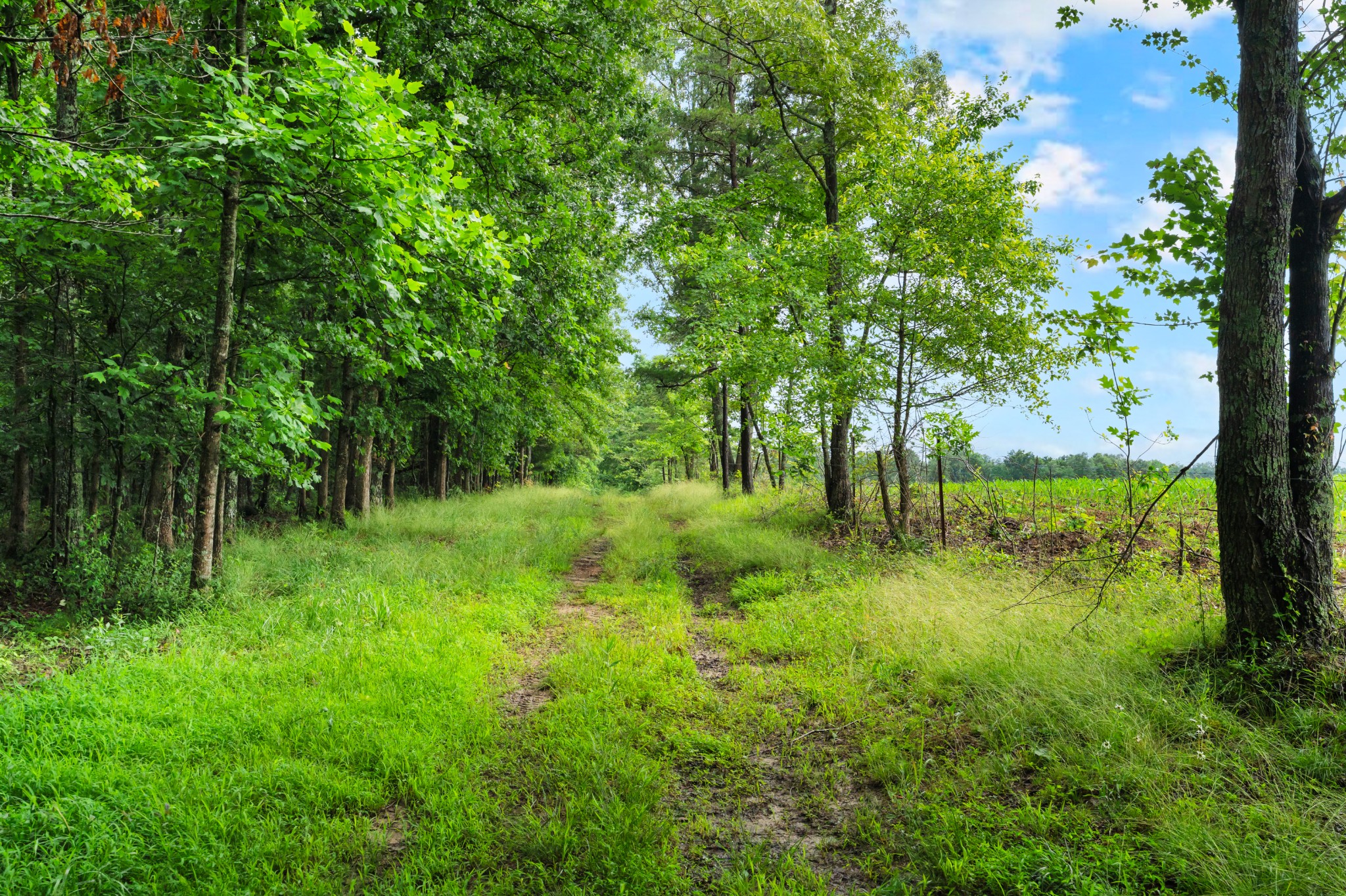 0 Salzer Mountain Road Spencer, TN 38585 - Photo 7 of 28