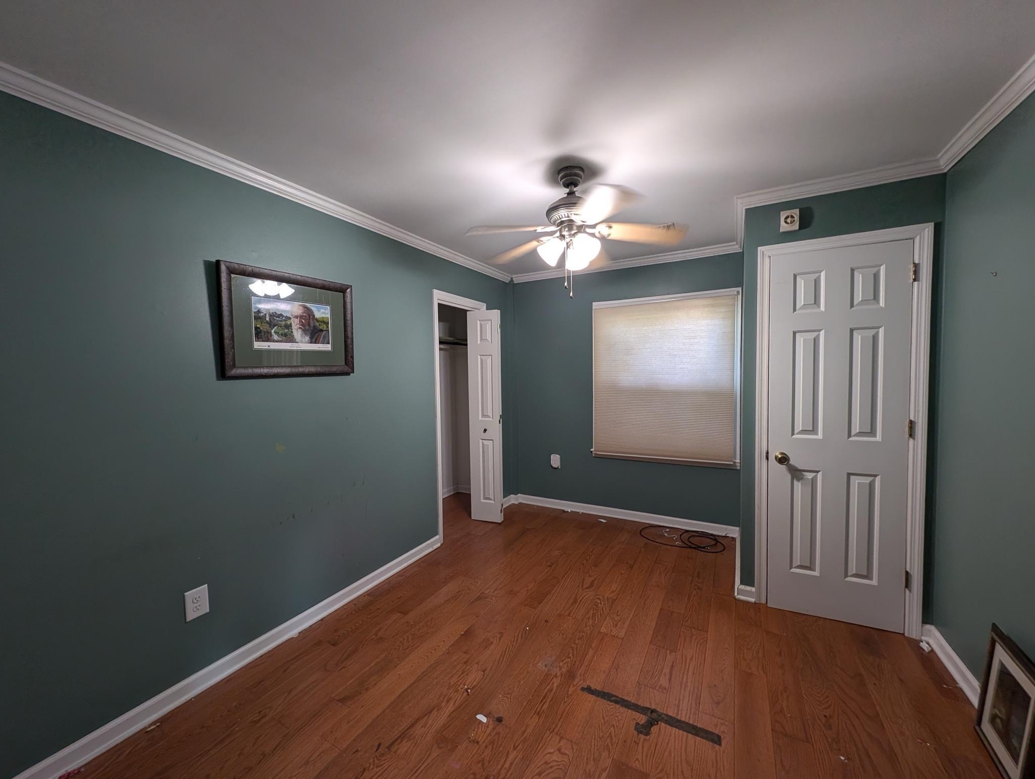 4471 South Mt Juliet Road Hermitage, TN 37076 - Photo 6 of 15