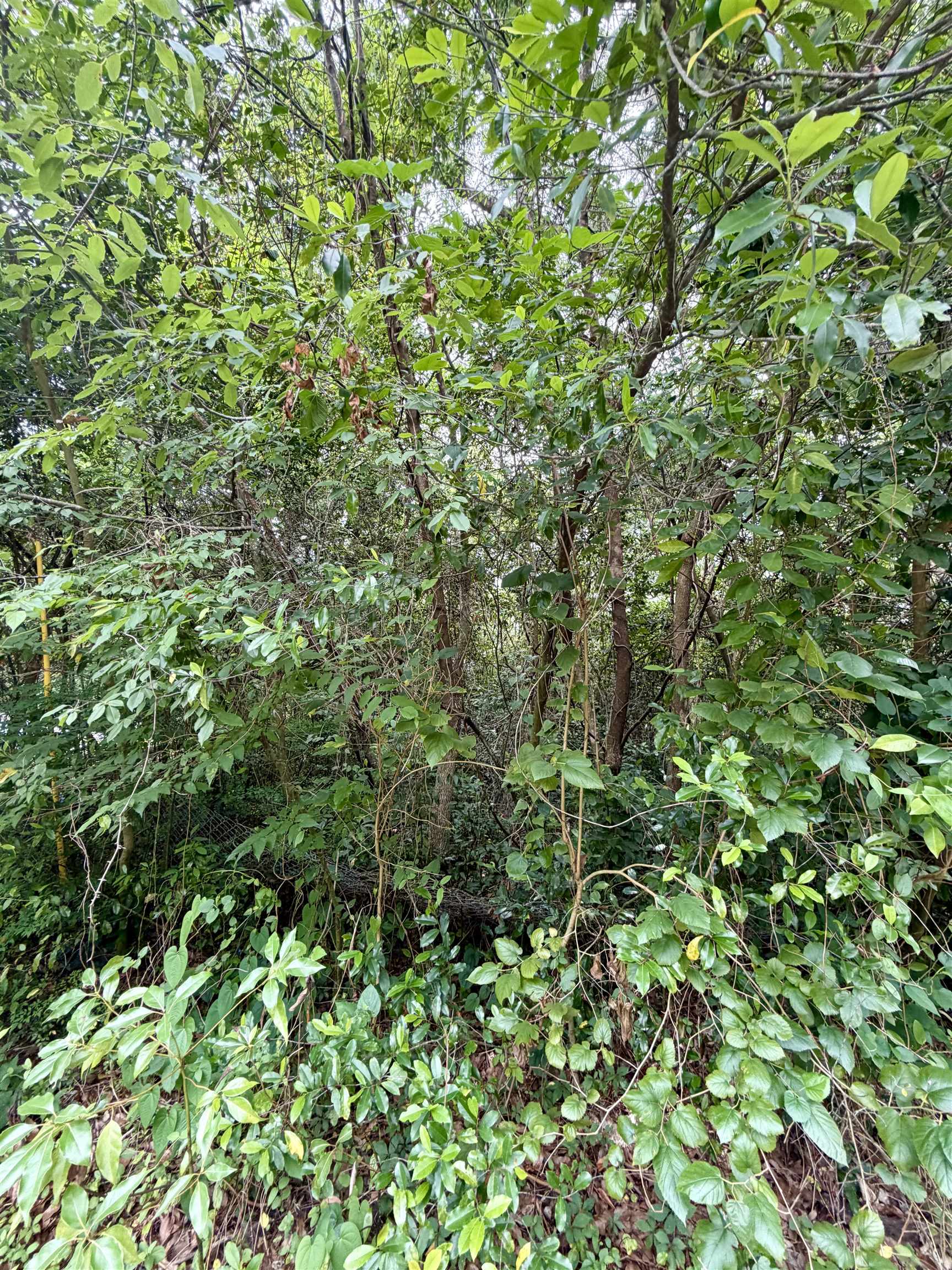 2607 Red Arrow Road Tallahassee, FL 32301 - Photo 6 of 6 Gallery Image 6