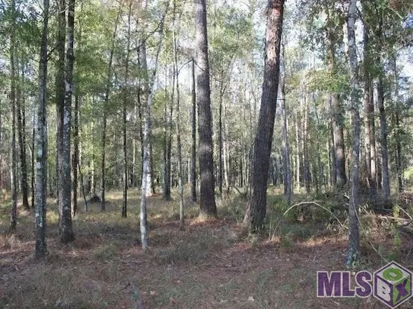 $274,720 | 28545 Coker Vail Road North, Holden, LA 70744