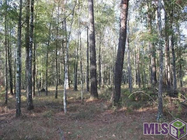 28545 Coker Vail Road North Holden, LA 70744 - Photo 1 of 13