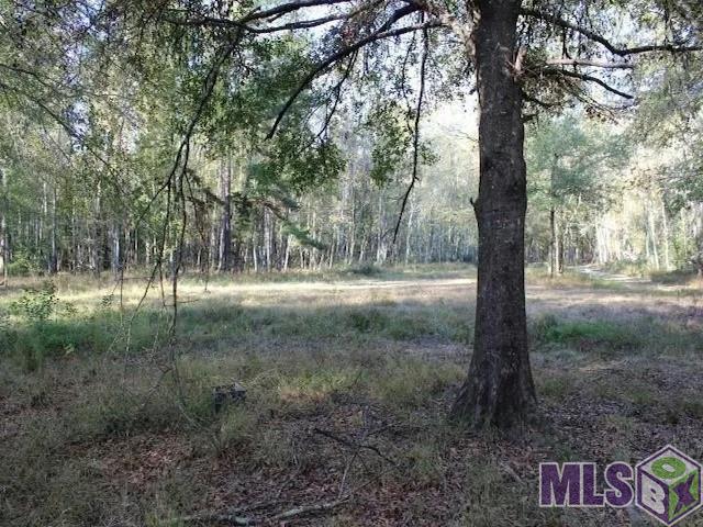 28545 Coker Vail Road North Holden, LA 70744 - Photo 2 of 13
