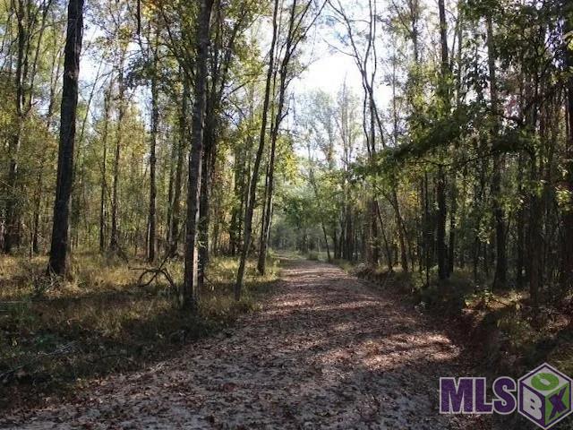 28545 Coker Vail Road North Holden, LA 70744 - Photo 3 of 13